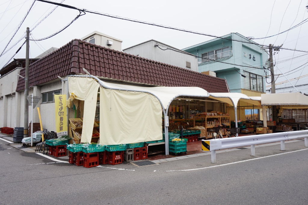 【ロイヤルサルビアのスーパー】