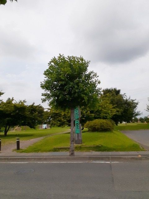 【サウス　カーサ　セレノＡの公園】