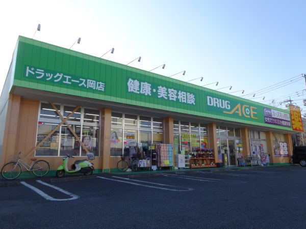 ドラックストア　ドラッグ・エース岡店（ドラッグストア）まで689m