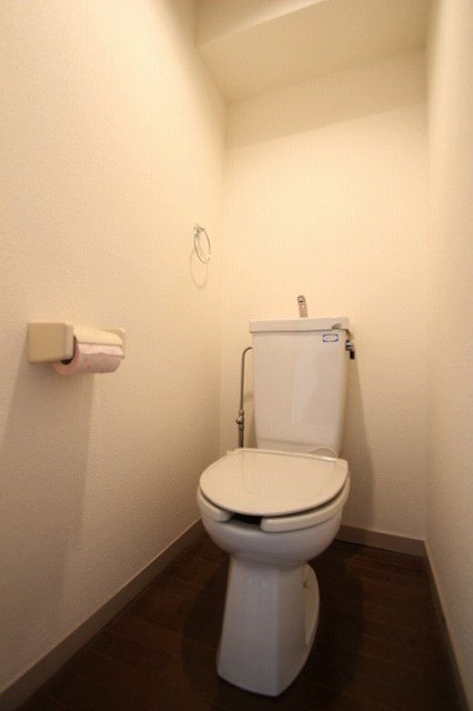 トイレ　同物件、別号室のものです。