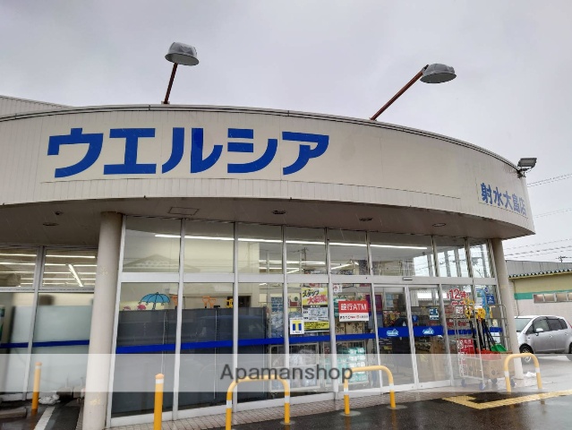 ドラックストア　ウエルシア射水大島店（ドラッグストア）まで545m