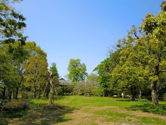 公園　羽根木公園（公園）まで818m