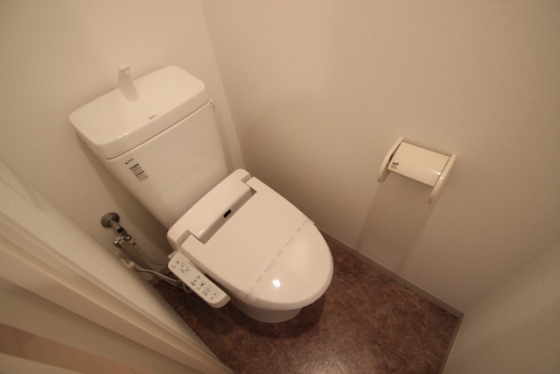 トイレ　※他号室の写真です。