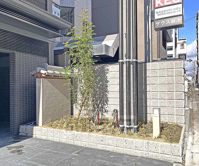 庭