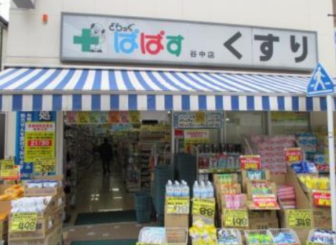 ドラックストア　どらっぐぱぱす谷中店（ドラッグストア）まで773m