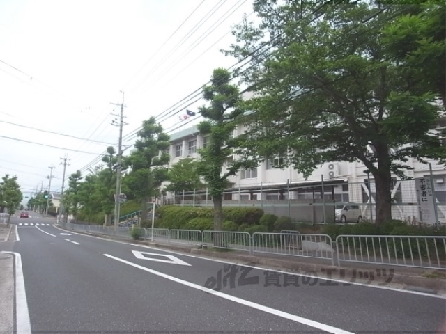 小学校　つつじケ丘小学校（小学校）まで800m