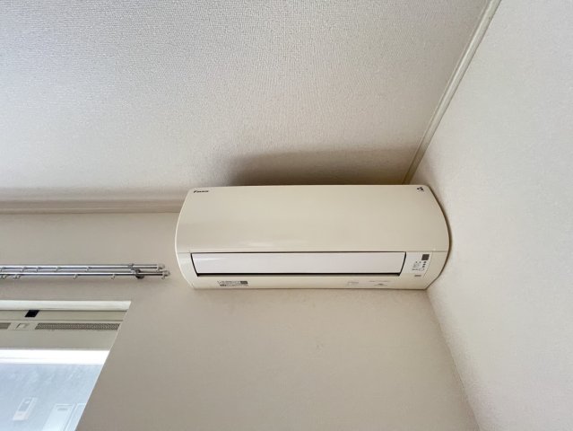 アプリコットのその他写真