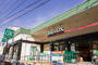 スーパー　Odakyu OX(小田急OX) 三鷹台店（スーパー）まで557m