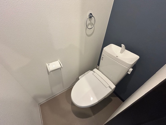 ザカラー東本町B棟のトイレ写真