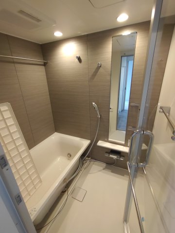 バス・シャワールーム　colortype：ash