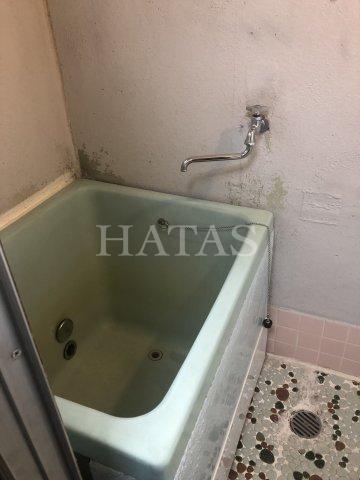 バス・シャワールーム　同物件別部屋のお写真です※現況優先