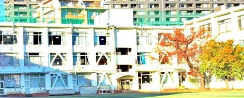 小学校　新宿区立柏木小学校（小学校）まで1249m