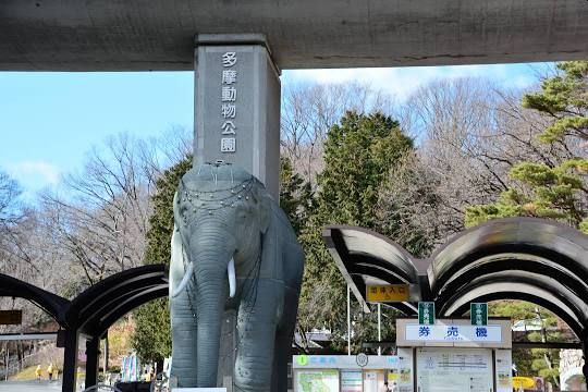 公園　多摩動物公園（公園）まで673m