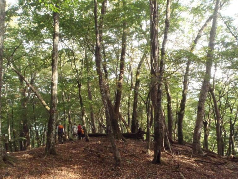 公園　都立多摩丘陵自然公園（公園）まで1726m