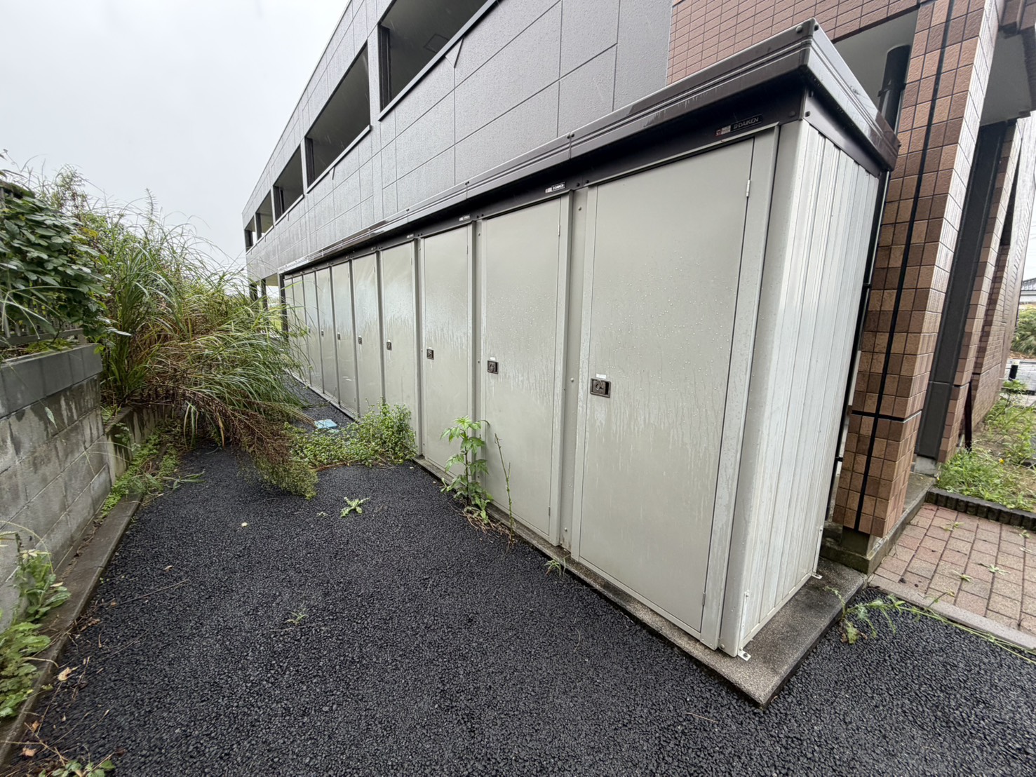 PureDreamのその他写真