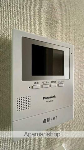 オリーブのその他写真