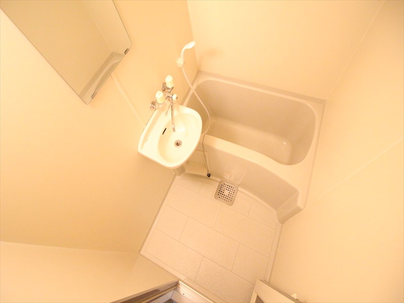 バス・シャワールーム　浴室・洗面鏡付（写真は別室）