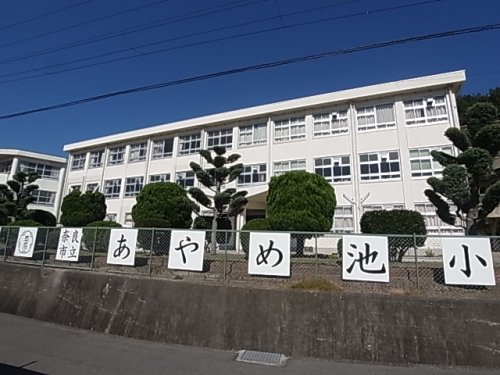 【奈良市学園南のマンションの小学校】