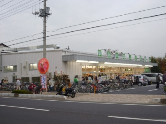 スーパー　生鮮市場田中青果大井店（スーパー）まで1171m