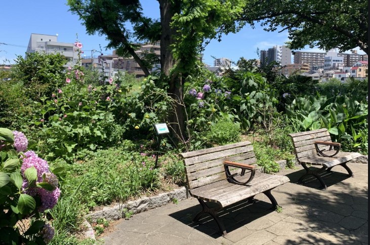 公園　亀戸九丁目緑道公園（公園）まで536m
