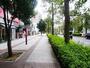 その他　現地周辺街並み（その他）まで5m