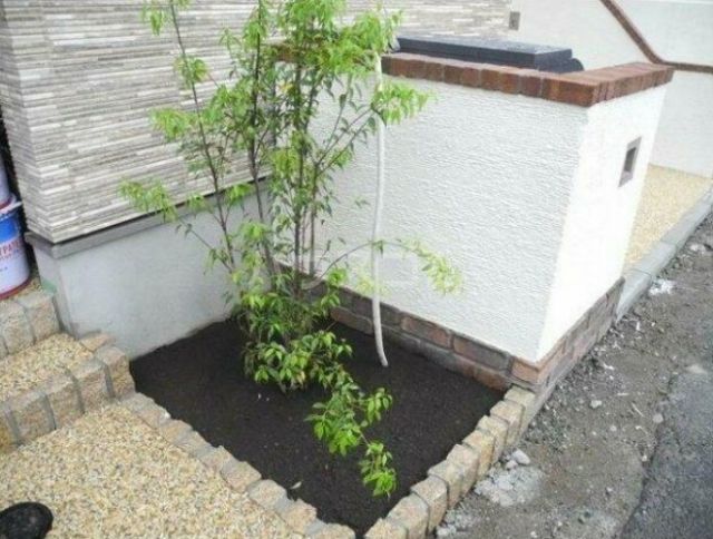 庭