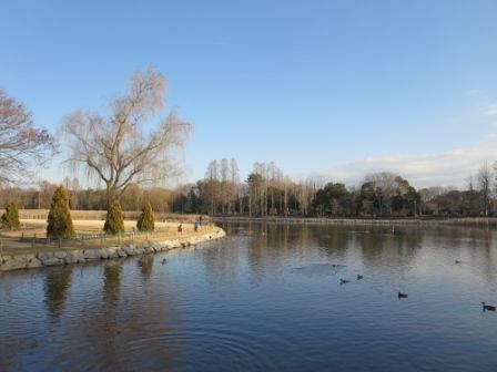 公園　洞峰公園（公園）まで1200m