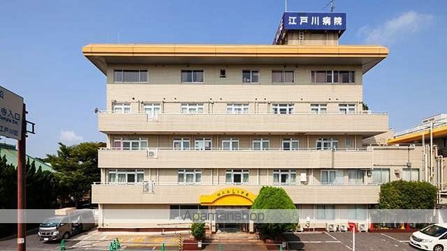 病院　江戸川病院（病院）まで293m