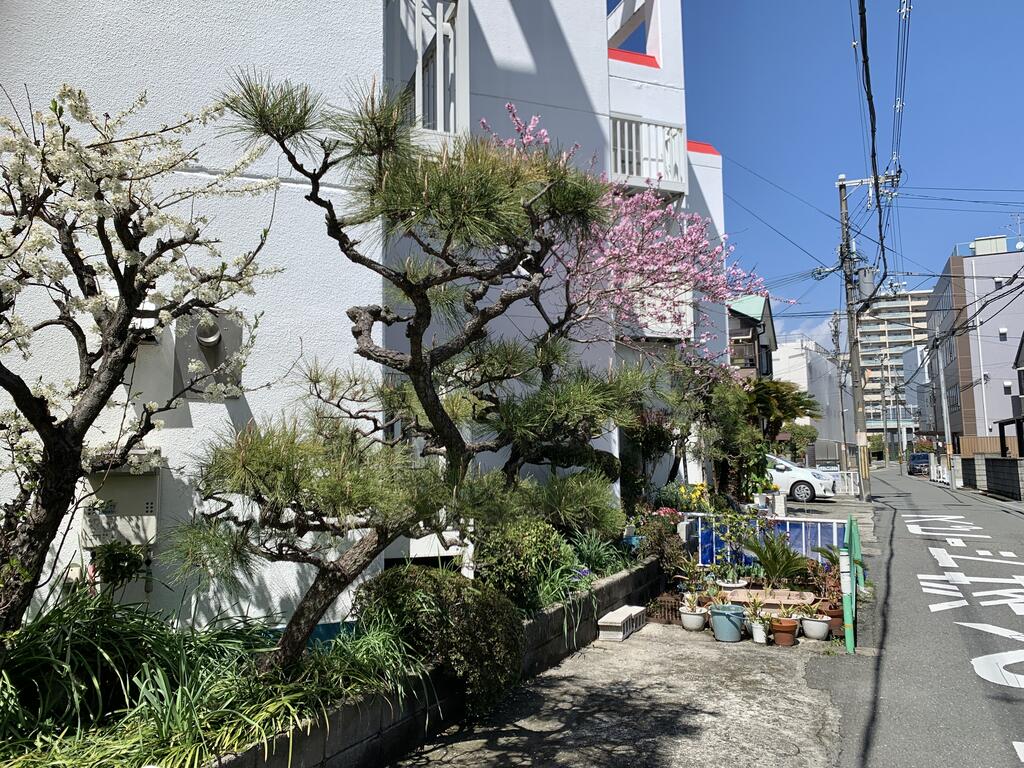 ラビアンヌレポーのその他写真