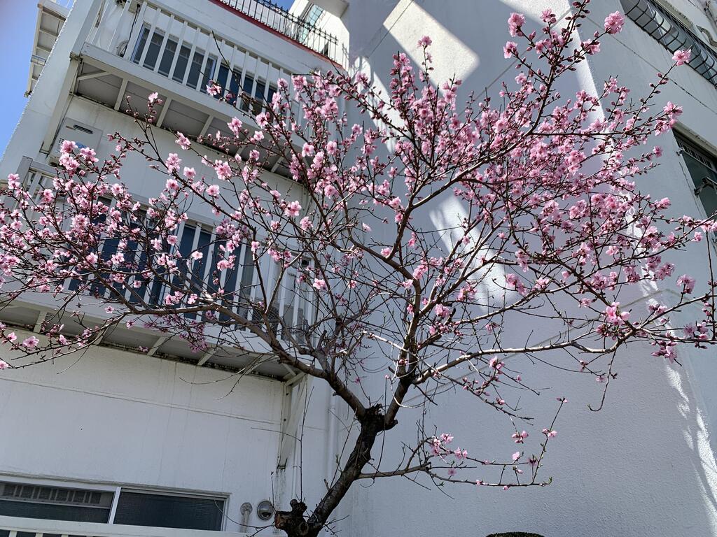 ラビアンヌレポーのその他写真