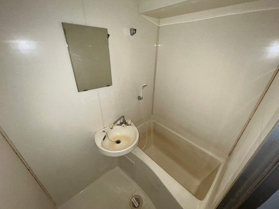 バス・シャワールーム　※別部屋の写真です