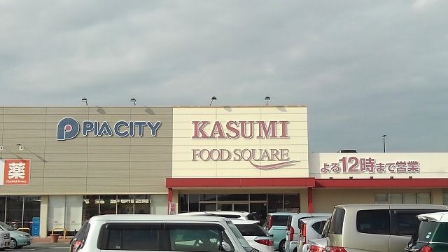 スーパー　カスミ宮代店（スーパー）まで1100m