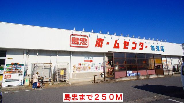 ホームセンター　島忠（ホームセンター）まで250m