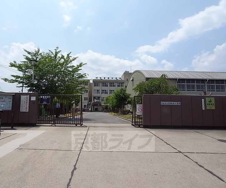 小学校　北槙島小学校（小学校）まで704m