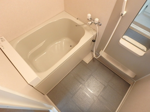 バス・シャワールーム　※写真は他の号室の同型タイプのお部屋です。