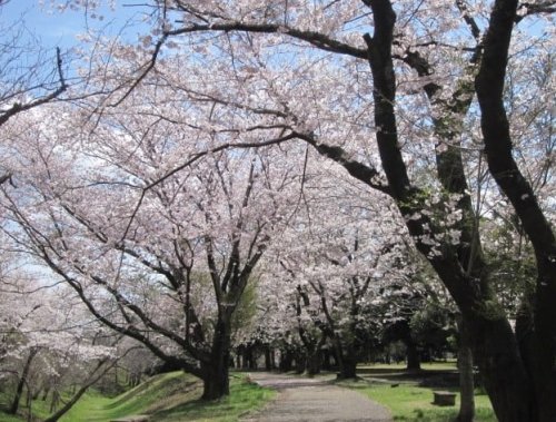 公園　神立公園（公園）まで1061m