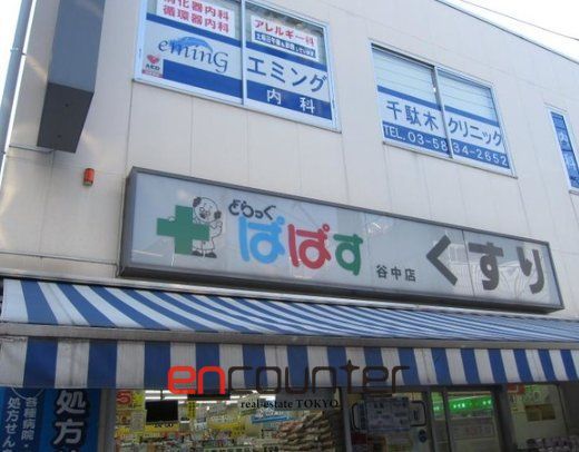 ドラックストア　どらっぐぱぱす谷中店（ドラッグストア）まで250m