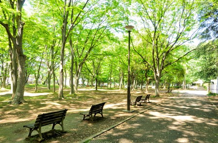 公園　都立城北中央公園（公園）まで404m