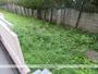 眺望　眺望