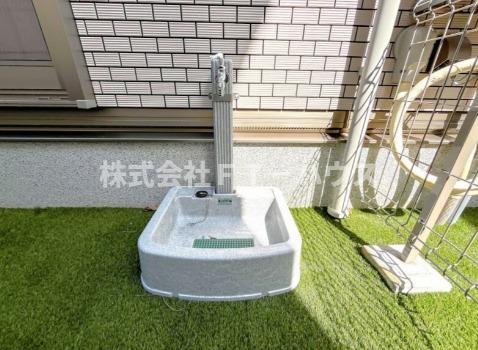 庭