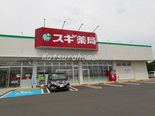 ドラックストア　スギドラッグ柏の葉店（ドラッグストア）まで1012m