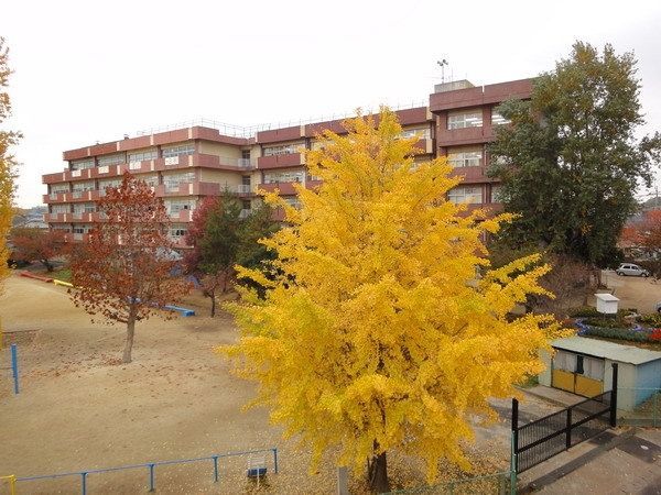 小学校　河原塚小学校（小学校）まで810m