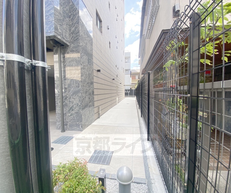 庭