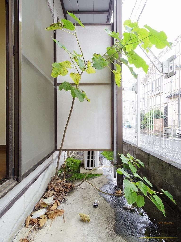 バルコニー　※同仕様写真です