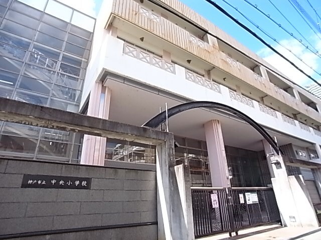 小学校　神戸市立中央小学校（小学校）まで428m