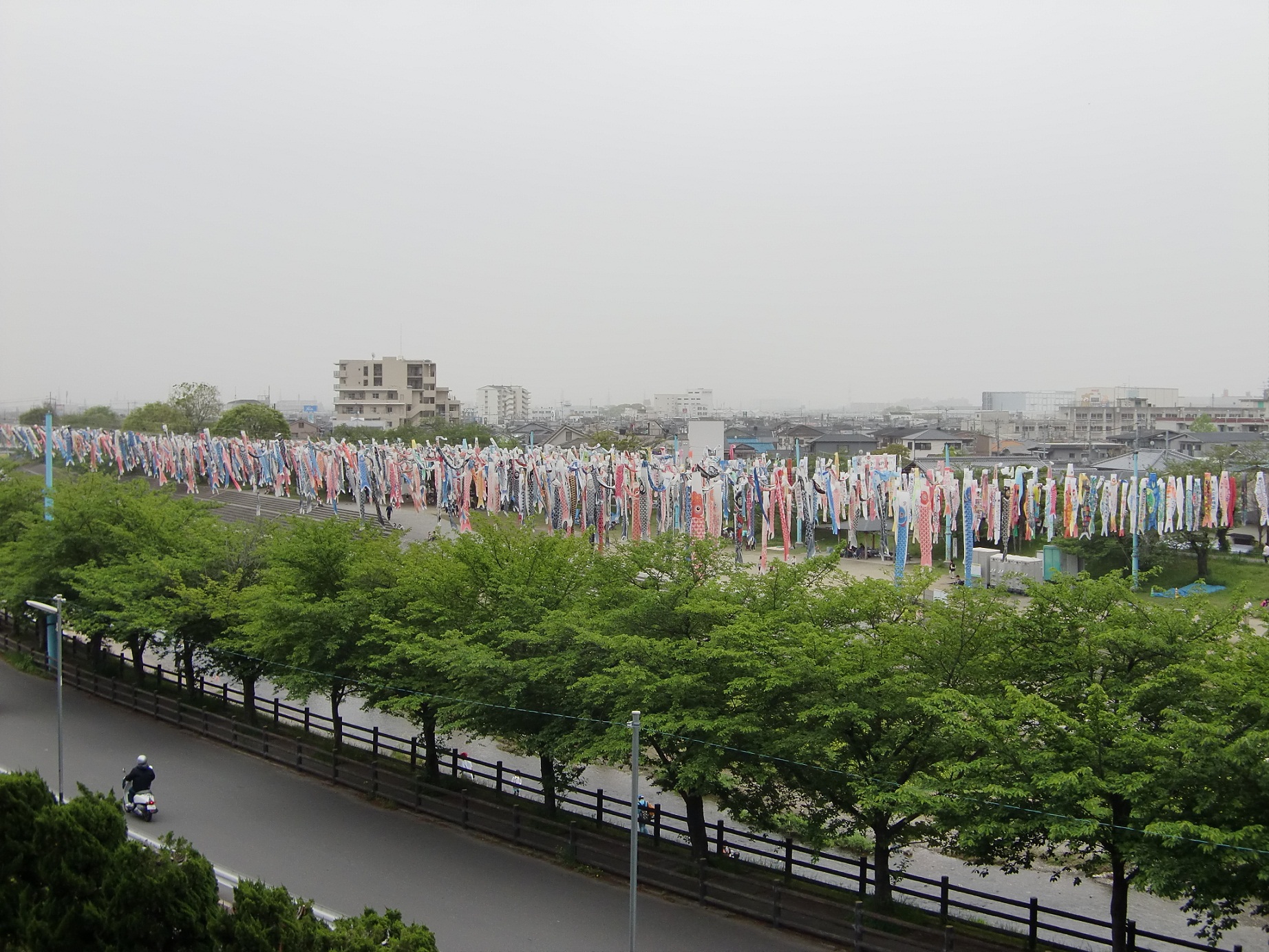 公園　芥川桜堤公園（公園）まで791m