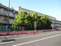 中学校　西東京市立明保中学校（中学校）まで1239m