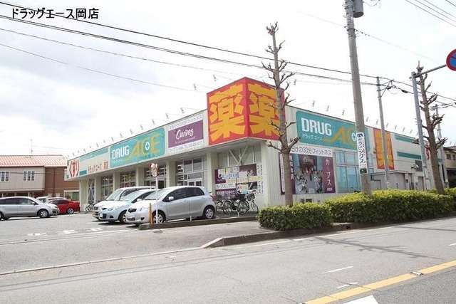 ドラックストア　ドラッグエース（ドラッグストア）まで270m
