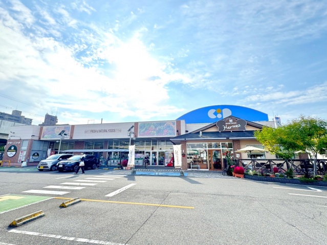 スーパー　コープうたづ（スーパー）まで542m