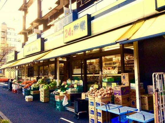 ショッピングセンター　肉のハナマサ住吉店（ショッピングセンター）まで161m